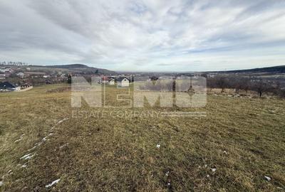 Teren Voievodeasa | 19.5Ari | Intravilan - 4