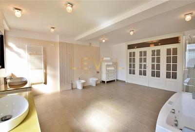 [VIDEO] Penthouse 4 camere de inchiriat 403 mp - Herastrau - 20