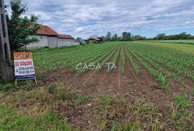 Teren Intravilan (7500 mp),situat in Balesti - Tamasesti - 2