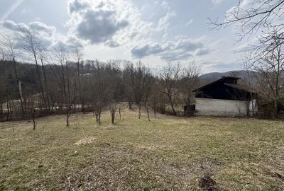 Teren intravilan la asfalt 2100 mp deschidere 21 mp la asfalt! - 6