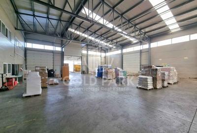 Hala/Depozit-Zona Autostrazii-Curte Betonata/Rampa-350-660-900 mp - 4