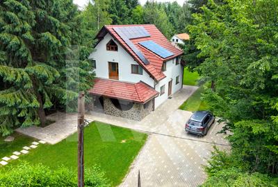 Vila de poveste din Valea Avrigului de vanzare - 1