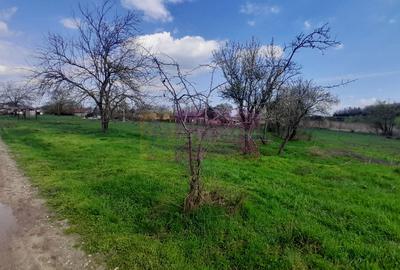 DE VANZARE TEREN 3400 MP IN SAT PODU ILFOVAT / COM BUTURUGENI (GR) - 25