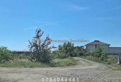 Teren de vanzare in Constanta, Veterani - 500 mp - 1