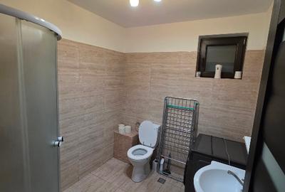 Apartament bariera valcii, 58,55. etaj 4/4 cu pod. Complet mobilat - 9