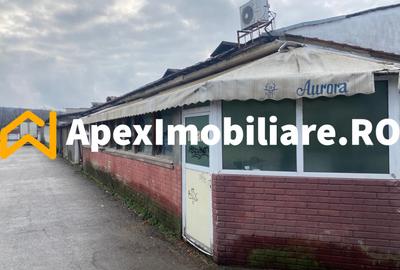 Hale Industriale de Vânzare Baicoi – 1100 mp + 800 mp, teren 5500 mp - 3