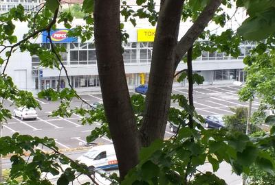 Apartament o camera circumvalatiunii 250euro - 3