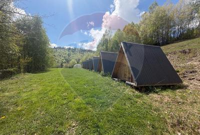 Proprietate eco-turistică de vânzare – 62.330 mp, Horea, Alba - 47