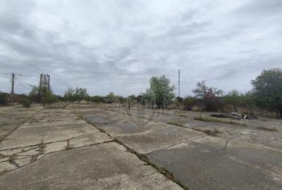 Teren Construcții intravilan de 45500 mp, în Albert