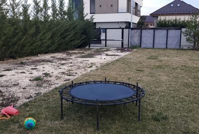 Teren intravilan 300 mp - Lacul cu Nuferi Chitila-posibilitate rate - 4