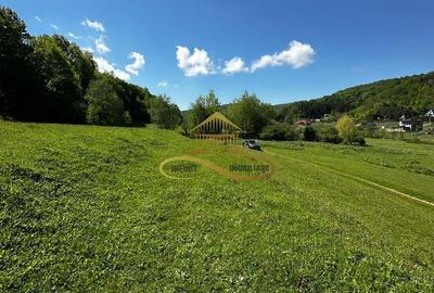 Teren intravilan de vanzare 1439 mp Luncani strada Slatinei - Bacau - 6