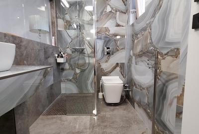 Penthouse de vanzare in zona Sisesti - Baneasa, terasa 100 mp - 3