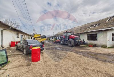 Spațiu industrial de vanzare 7950mp Lehliu Gara acces DN3+A2 - 9