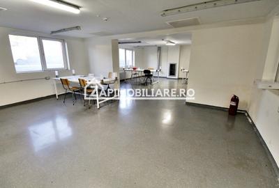 Spatiu de inchiriat Craiesti - 10
