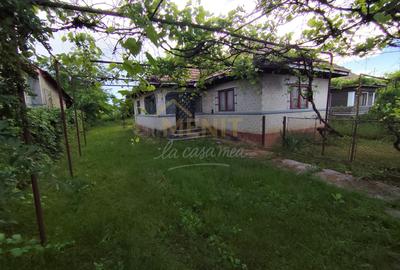 Casa si 2166 mp teren Magureni - 8