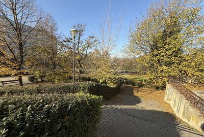 Spatiu comercial Manastur zona Calvaria - 9