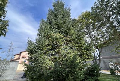 Vila cu 5 camere // * 565 mp gradina* // Tunari - 59