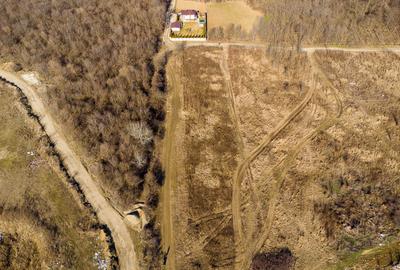 Teren intravilan Măgurele langa padurea Cornetu si Arges - 17