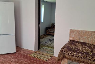 Vanzare casa 4 camere Tamadau Mare - Calarasi - 7