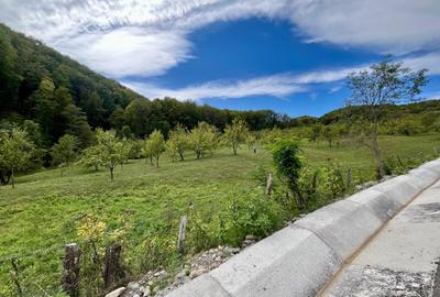 Teren 5.600 mp – Liniște, Natură și Verdeață | 10€/mp - Comision 0% - 1