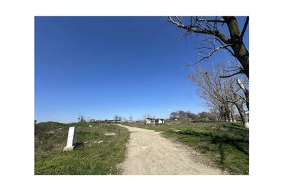 Teren intravilan 11.635mp de vanzare - 3
