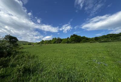 Teren Construcții intravilan de 3800 mp, în Florești