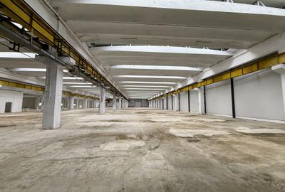 SPATIU INDUSTRIAL,  6857  MP - direct de la proprietar - 4