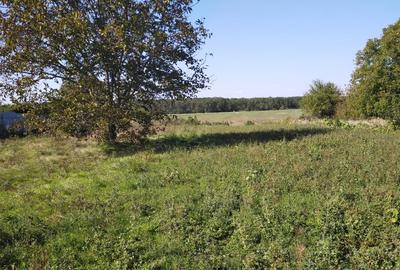 TEREN INTRAVILAN 1950 MP MOARA VLASIEI LA LAC