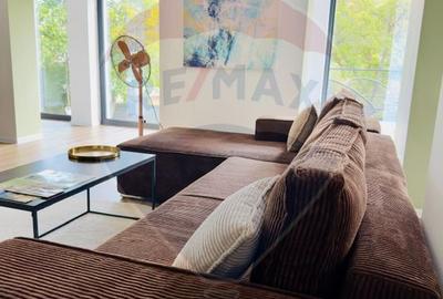 Vanzare Vila la munte - 36