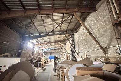 Hale industriale Teliu - 145000e  200.000e  450000e - 8