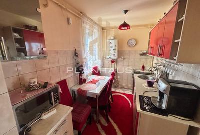 Apartament cu 2 camere de vânzare – Bulevardul București, zona centrala - 7