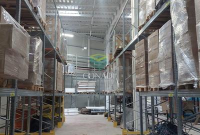 MOGOSOAIA CENTURA |READY TO MOVE IN I HALA depozitare si birouri - 7