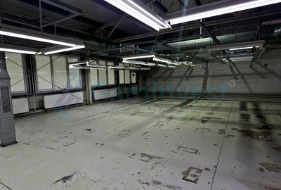 Hala de inchiriat in Marghita pentru productie si depozitare, Bihor - 8