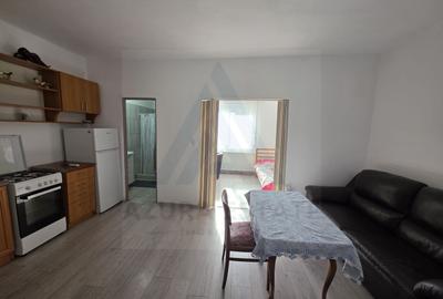 Studio la curte utilat complet cu terasa  zona Lazaret - 1