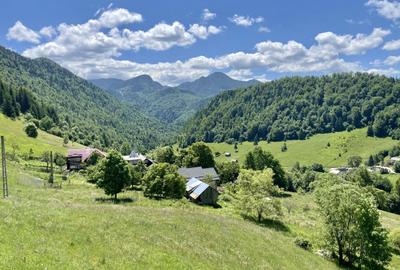 Teren cu vedere panoramică de vânzare | Podu Dâmboviței, Comuna Dâmbovicioara - 3