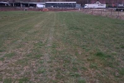 Teren intravilan de vânzare în Crainimăt - 1