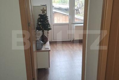 Proprietate cu casa si teren in Oradea - 13