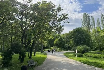 3 camere Grădina Botanică, Cotroceni - 8