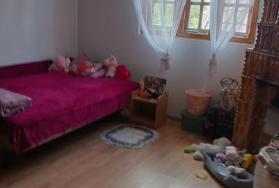 Casă  P+1+M, cu teren generos, 30 min  de București – Bâldana, județul Dâmbovița - 14