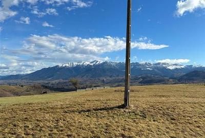 TEREN INTRAVILAN SIRNEA/ 4000 MP/ - 7