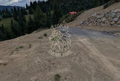 Parcele teren intravilan cu utilitati-panoramic-Colibita - 2