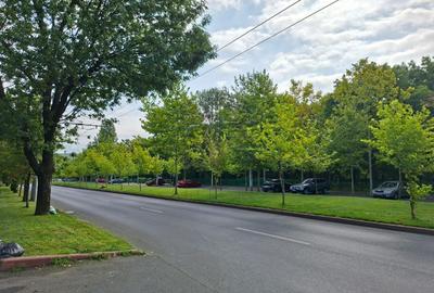 Teren | Parc Titan | Baba Novac | 232 Mp | P+2+M - 1