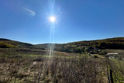 Teren intravilan 700mp , zona Valea Gârbăului - 3