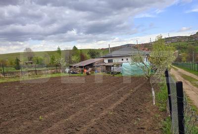 Casă la cheie cu teren de 1650 mp, Sălicea - 5