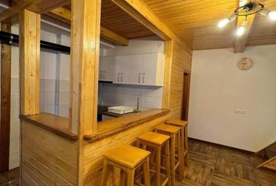 Cabana la Lac Colibita 8 camere, terase si 1650 mp teren - 15