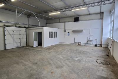Hala 300 mp in Parcul Industrial Roman pt. productie, depozitare, servicii - 3