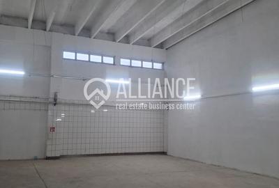 ZONA INDUSTRIALA (COD04)-Hala 270 mp ideal service auto - 2