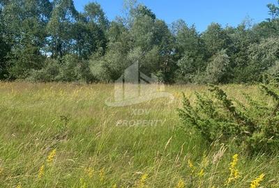 Teren in zona turistica Porumbacu de Sus - 1