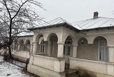 Vand gospodarie taraneasca traditionala - 12