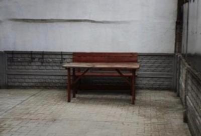 2 Camere Chitila Parter Inalt Curte Proprie Centrala Metrou - 8